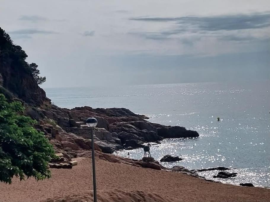 Cala Salions Balandro II Tossa De Mar Apartment Канет де Мар Екстериор снимка