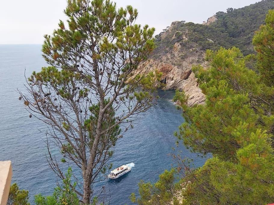Cala Salions Balandro II Tossa De Mar Apartment Канет де Мар Екстериор снимка
