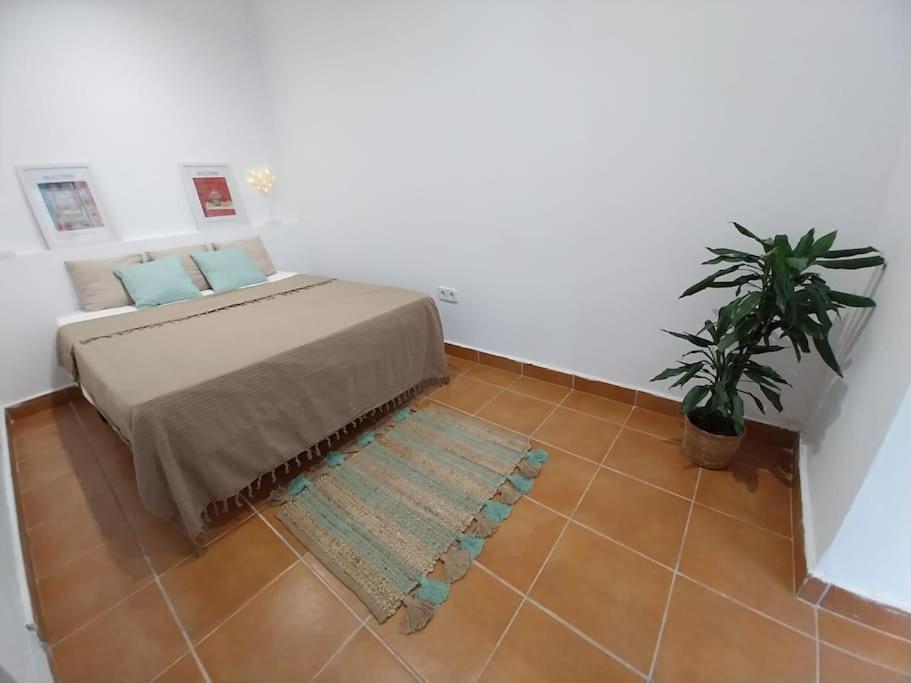 Cala Salions Balandro II Tossa De Mar Apartment Канет де Мар Екстериор снимка